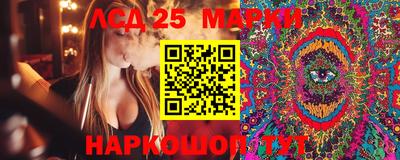 spice Кунгур