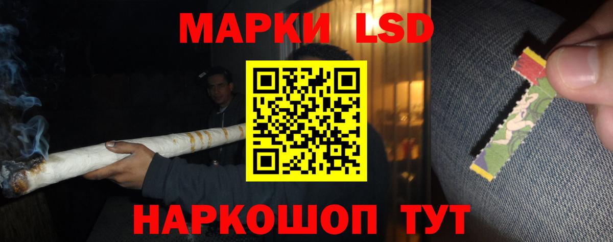 Зеленогорск  ЛСД экстази ecstasy  Лсд 25 экстази ecstasy  Вход с VPN 