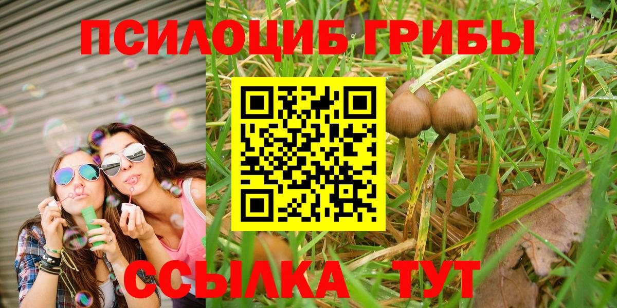 Псилоцибиновые грибы Magic Shrooms Зеленогорск