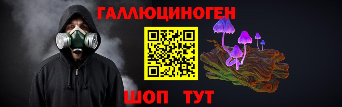 Зеленогорск  Псилоцибиновые грибы GOLDEN TEACHER  купить  сайты  Вход с VPN 
